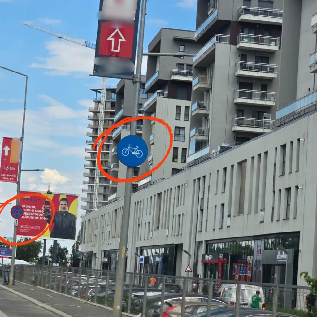 Antoanela Vasilescu, Radu Vasilescu și rețeaua Way Media mopntaje steaguri directionale pe stâlpi cu semne de circulatie